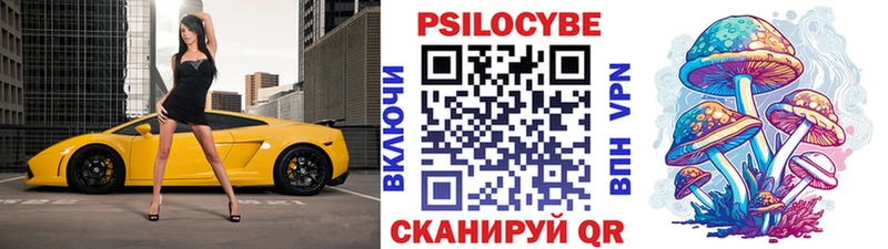 где можно купить Амурск Псилоцибиновые грибы мухоморы