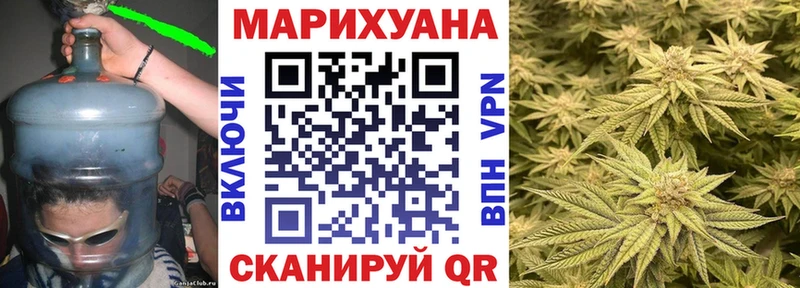 закладка  Амурск  кракен   Каннабис индика 